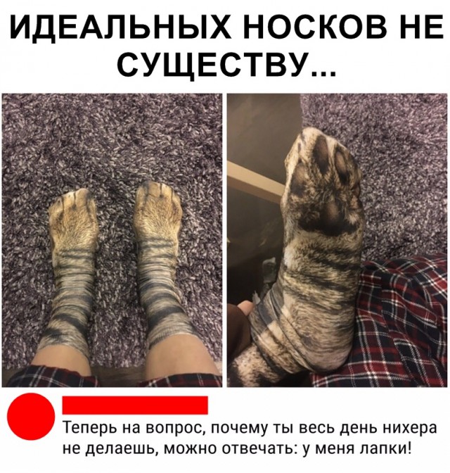 Картинки