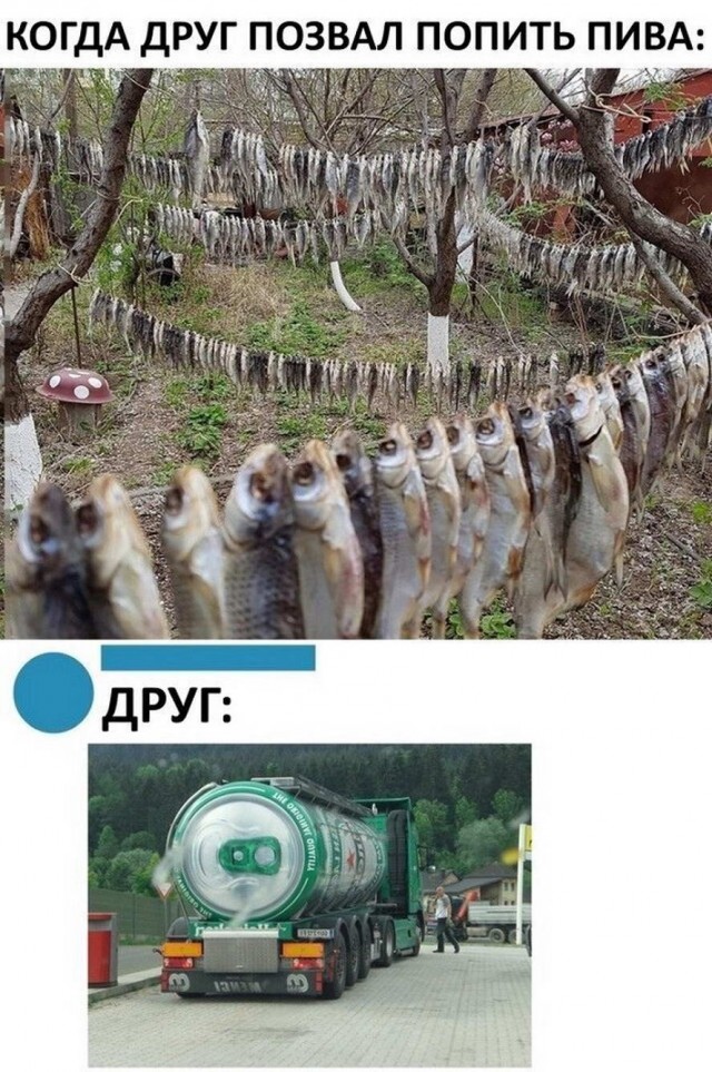 Бредзона 08.05.20