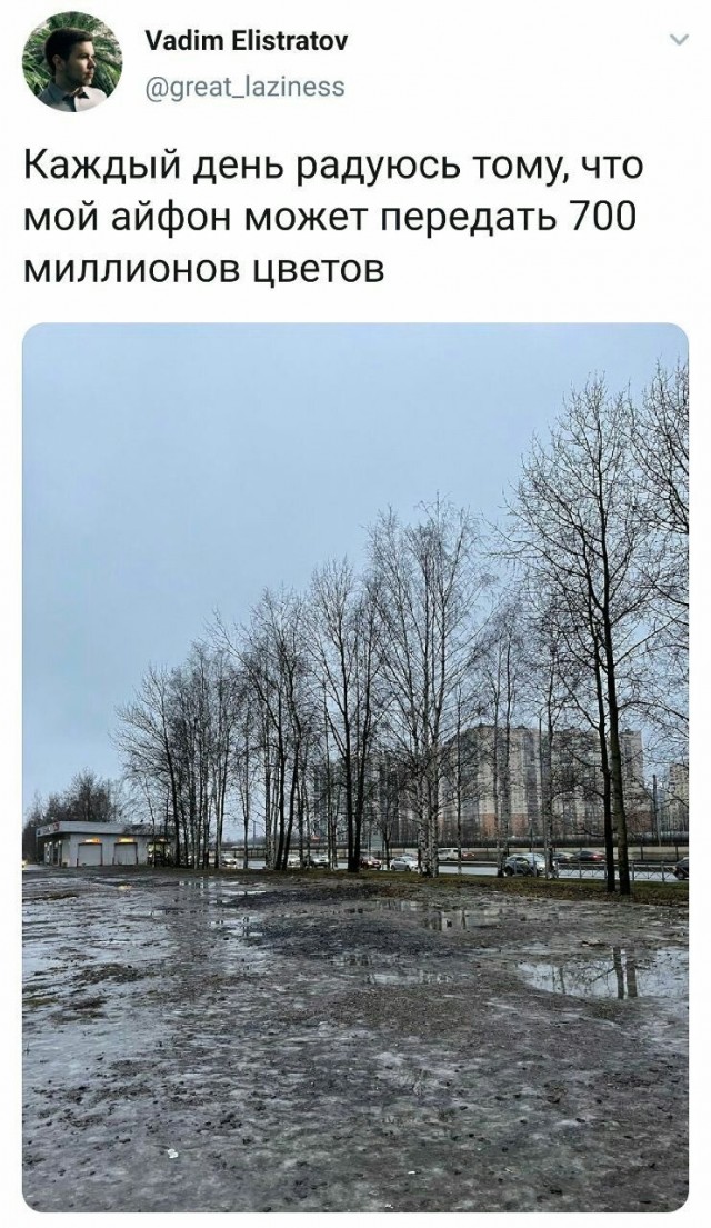 Боянистые картинки 26.12.20