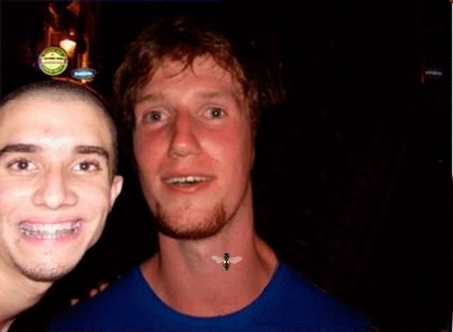 Вытянулась: картинка и 2 жабы