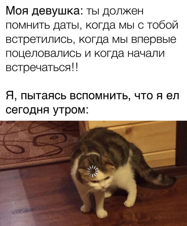 Весёлый полтишок 1.04