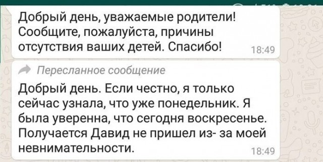 Немного о родительских чатах (в картинках)