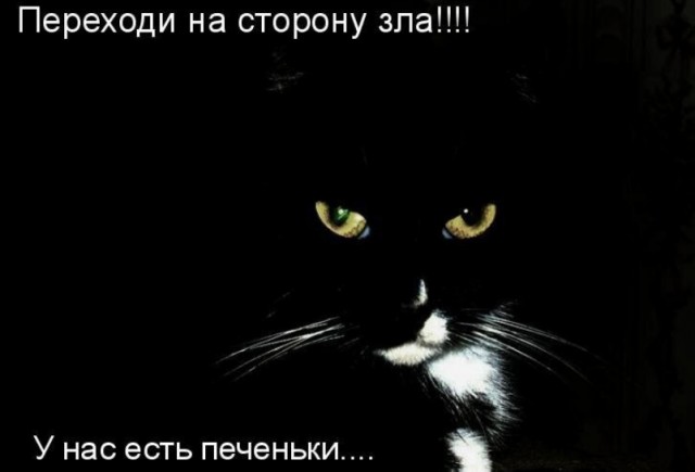 Картинки с надписями и всякие жизненные фразы