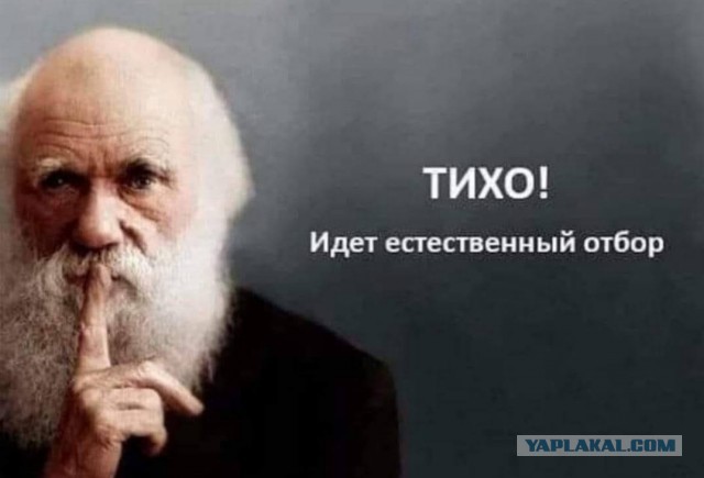 Взрыв газа произошёл в пятиэтажке в подмосковном Красногорске