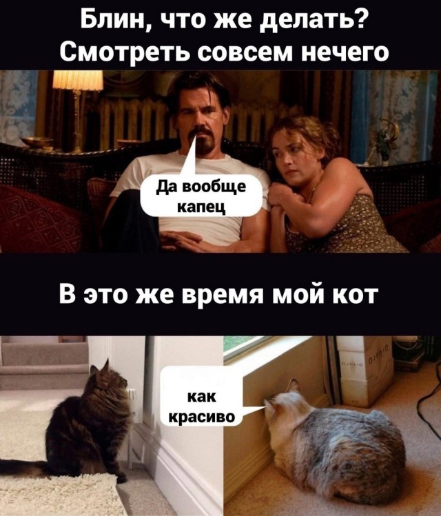 Так себе картинки 22.12.21