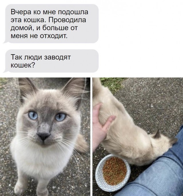 Человек собаке друг и другие картинки под настроение 13.01.2022