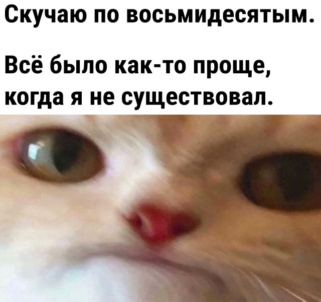 Так себе картинки 09.10.22