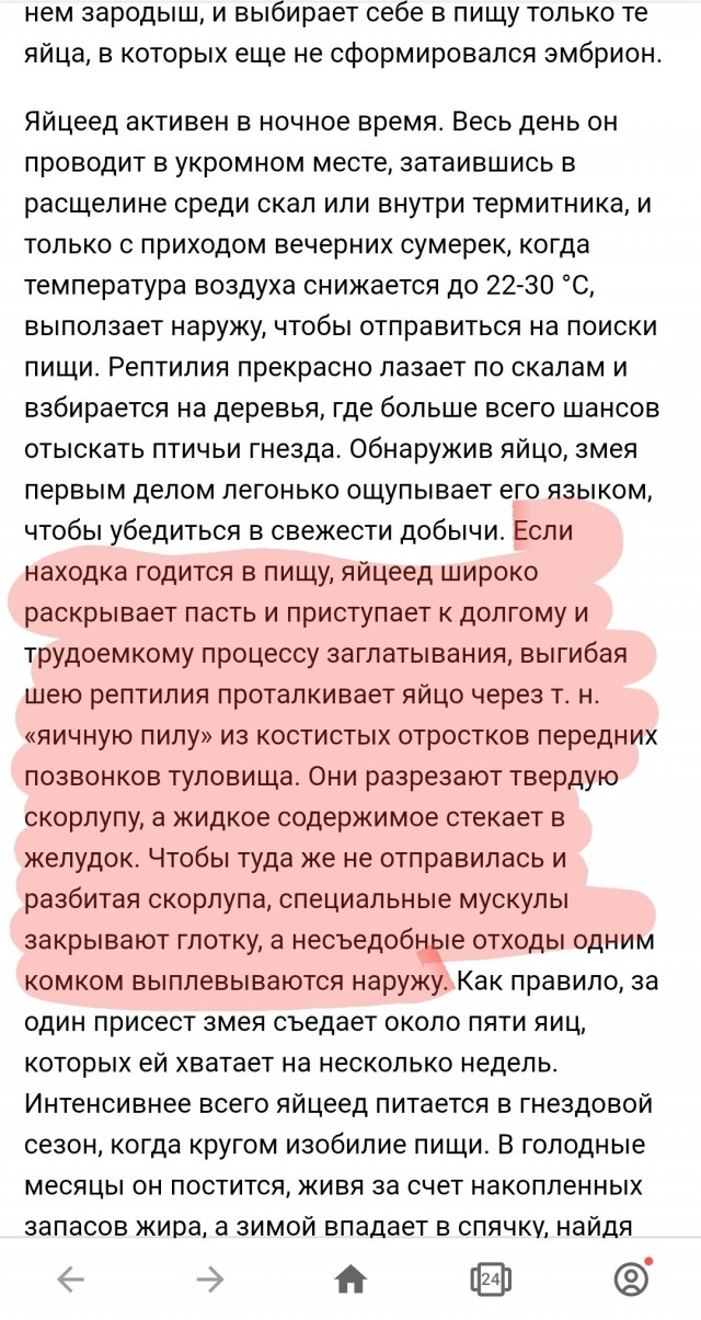 Змейка просто голодная