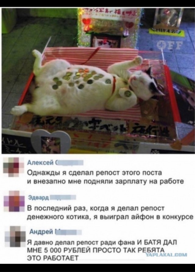 Извините. Деньги очень нужны