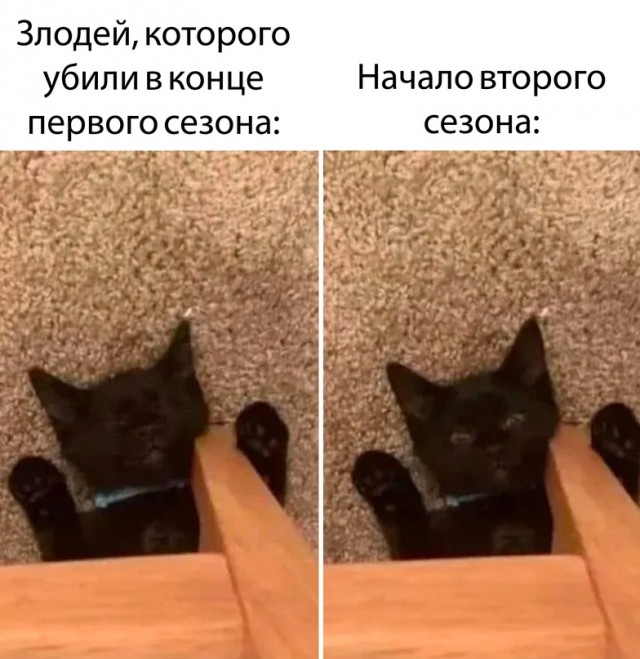 Немного картинок для настроения - 131