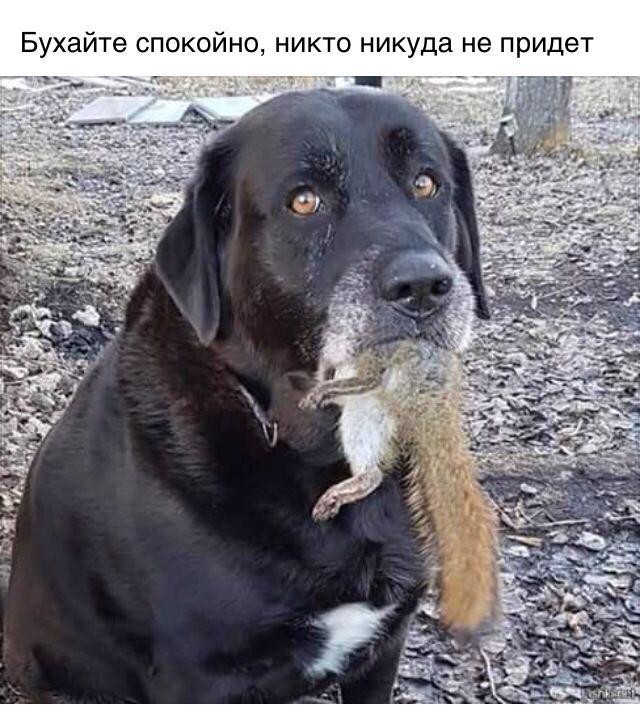 Всех с Новым Годом!