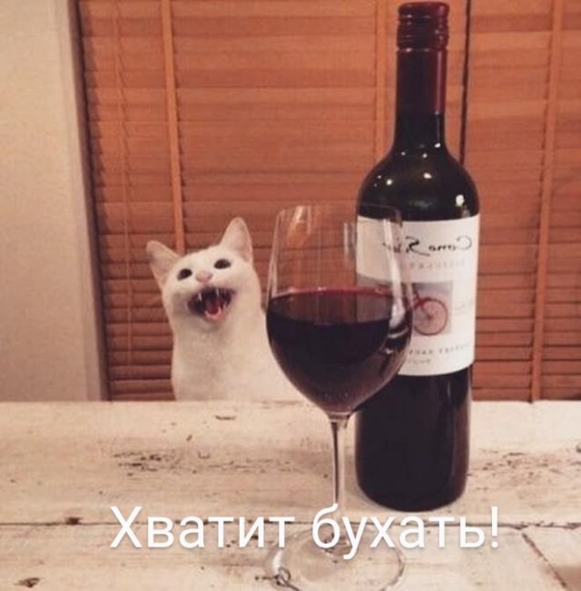 Картинки и мемы, всем хороших выходных