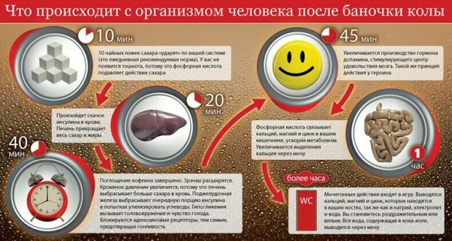 Победная поступь идиотизма по планете – том 9