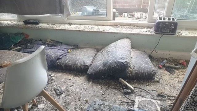Забыли закрыть дверь: голуби уничтожили лондонскую квартиру