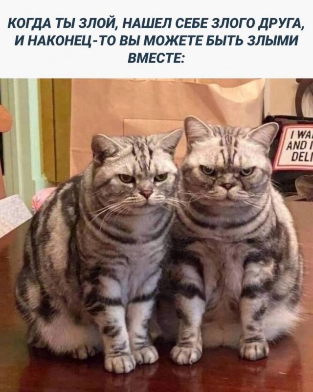 За@бали
