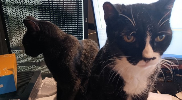 Дата в истории - "Сайгон" и "Спокойной Ночи, Малыши"