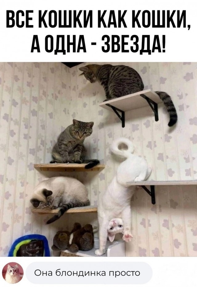 Так себе картинки 17.10.24