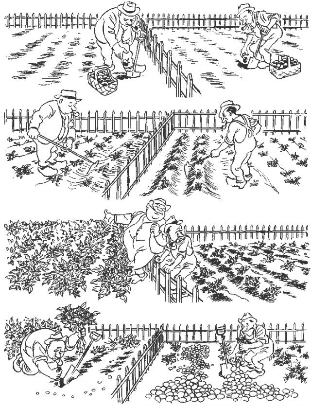 Литболталка