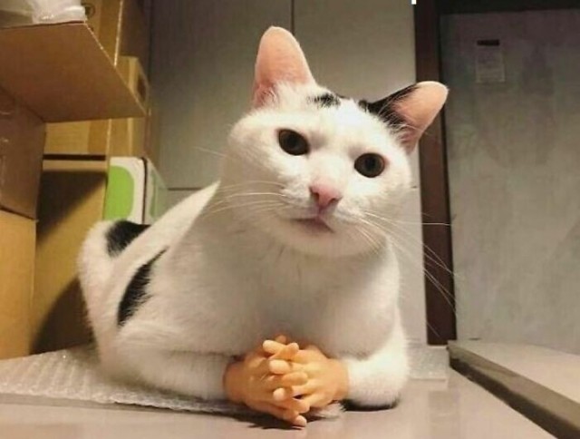 Что ты творишь, Меркурий