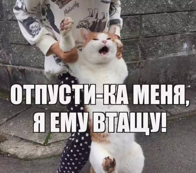 Собеседование не прошел