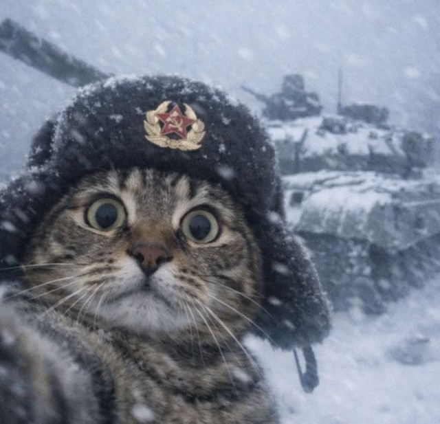 С Праздником, дорогие наши Мужчины!