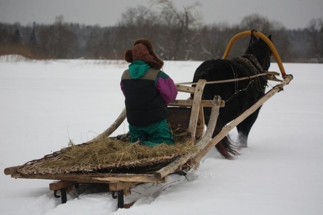 Вся суть заградительных пошлин