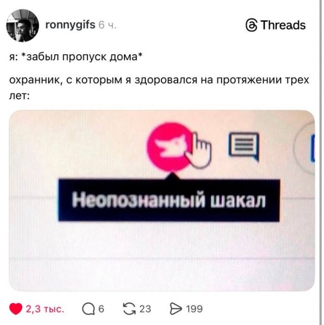 Картинки для деградации 185 (разной степени свежести)