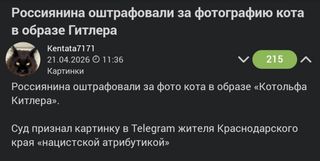 Котик по имени Адольф