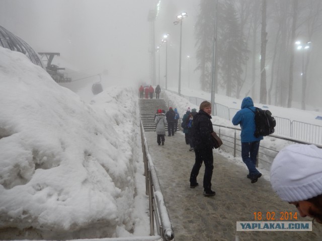 Два дня на Олимпиаде