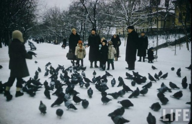 Советское детство глазами американского фотографа