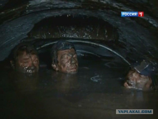 Никогда, никогда