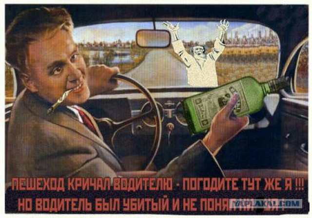 Прикольные фото и картинки