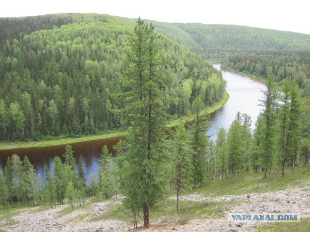 Сибирь 2015