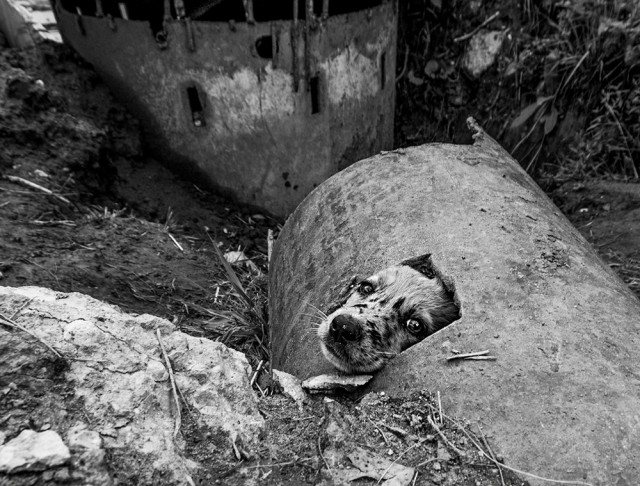 Созвучие. Соцветие. Совпадение.