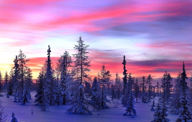 Подборка интересных и веселых фото