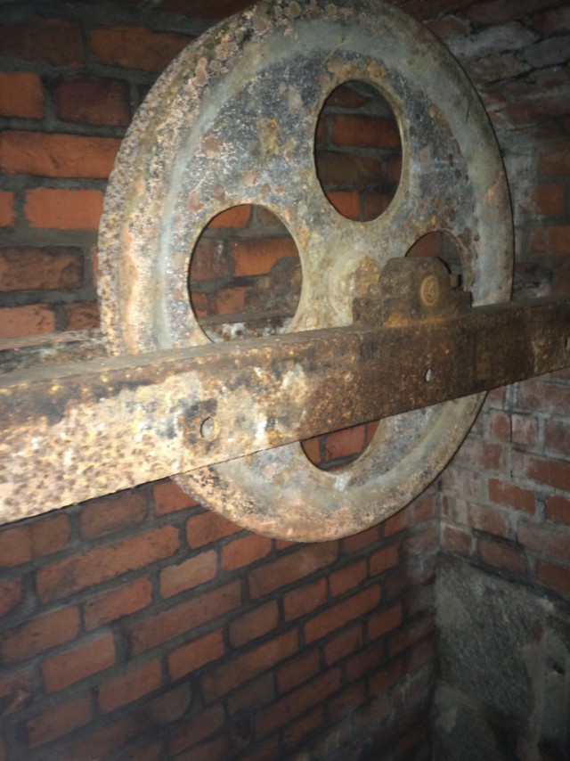 2 дня в Калининграде
