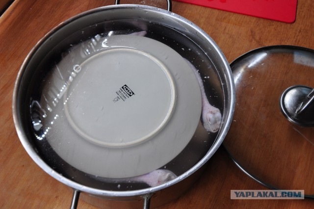 Сочная цыпочка