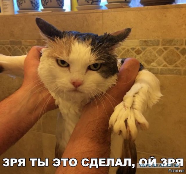 Подборка интересных и веселых картинок