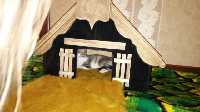 Коттедж своими руками, или про довольную котейку.