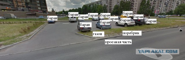 СтопХамСПб - Сосунок