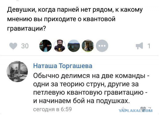 Подборка прикольных картинок на вторник