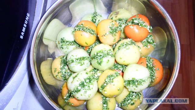 Итальянцы пробуют русские закуски под водку