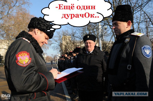 Что вы знаете о понтах?