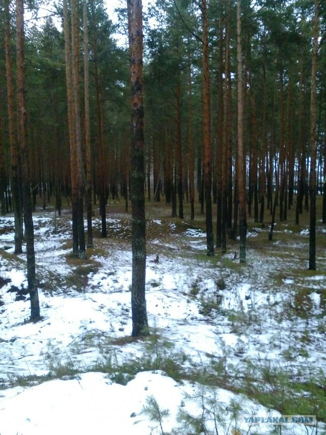 Новый год в Воронеже