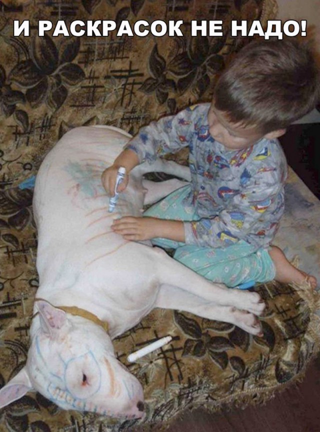 Нестандартный юмор