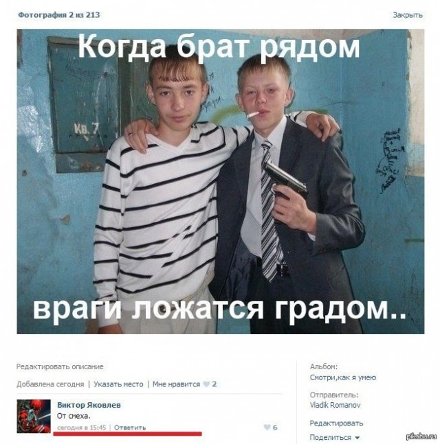 В асоциальных сетях продолжается безумное веселье