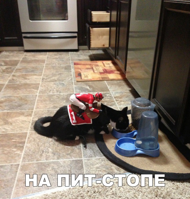 Нестандартный юмор