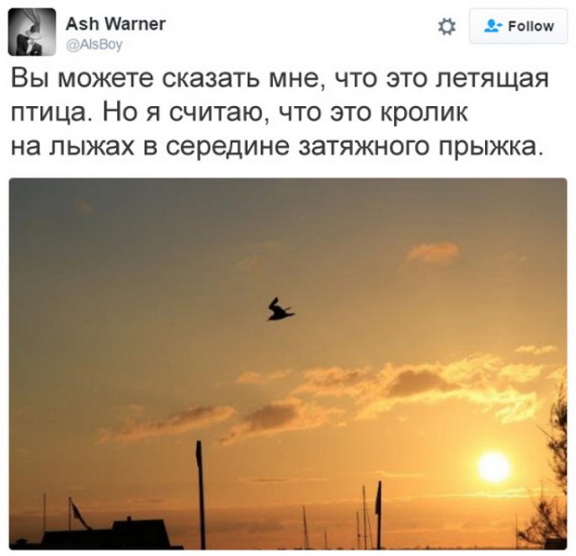 Подборка интересных и веселых картинок