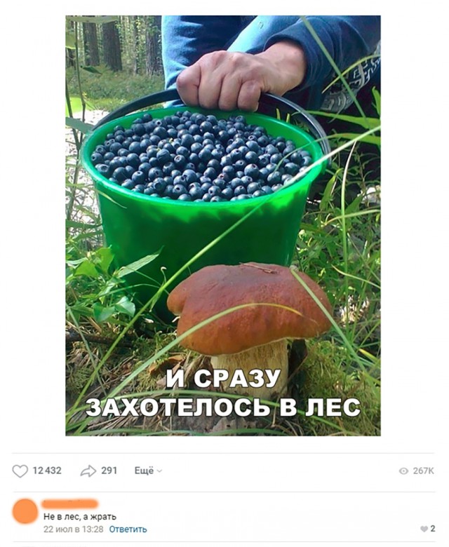 Прикольные картинки абавсём