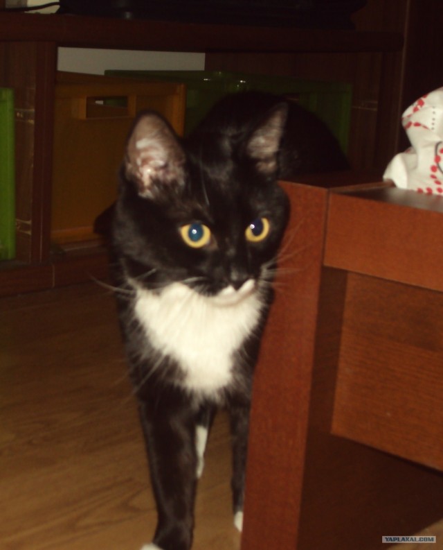 КОТовторник 13.04.2010г.